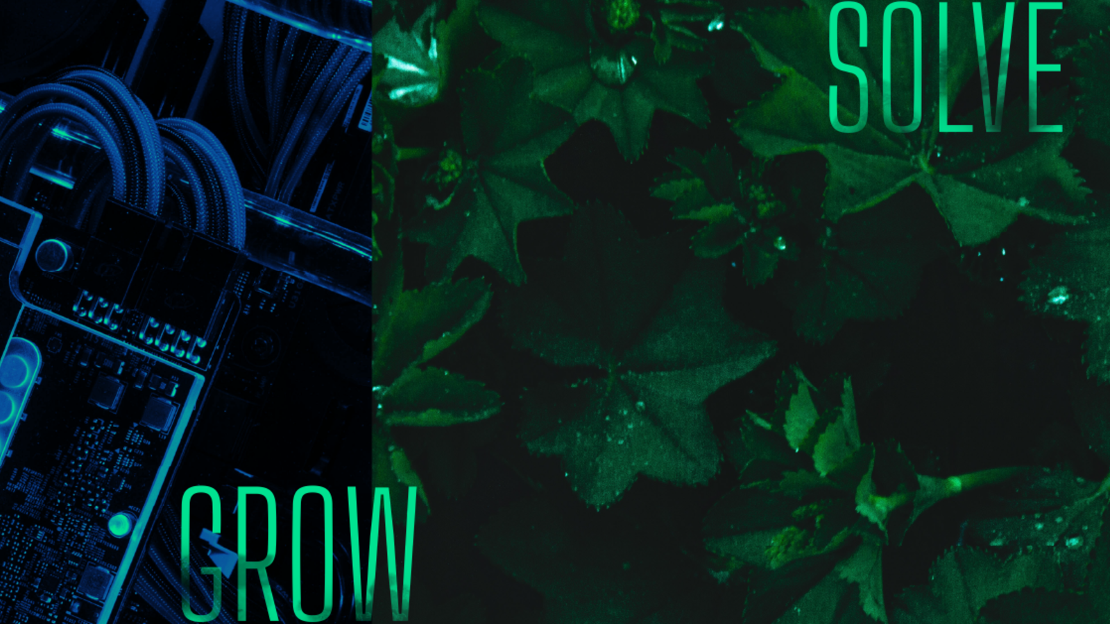 Grow Solve